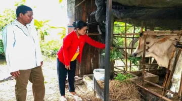 استراتيجيات حكومية جديدة تهدف إلى تحسين مستويات معيشة المواطنين بشكل ملموس ومستدام